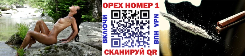 где продают   Новоалтайск  COCAIN FishScale 