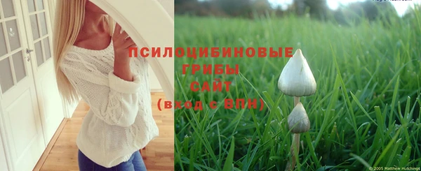 прущая мука Майский