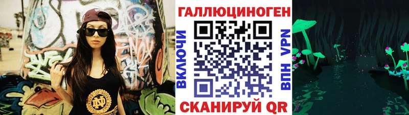 даркнет сайт  Новоалтайск  Галлюциногенные грибы Psilocybine cubensis 