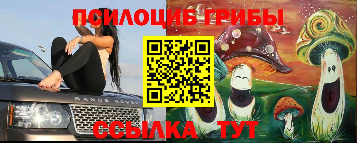 дарнет шоп  Псилоцибиновые грибы Cubensis  Вход с VPN  Новоалтайск 