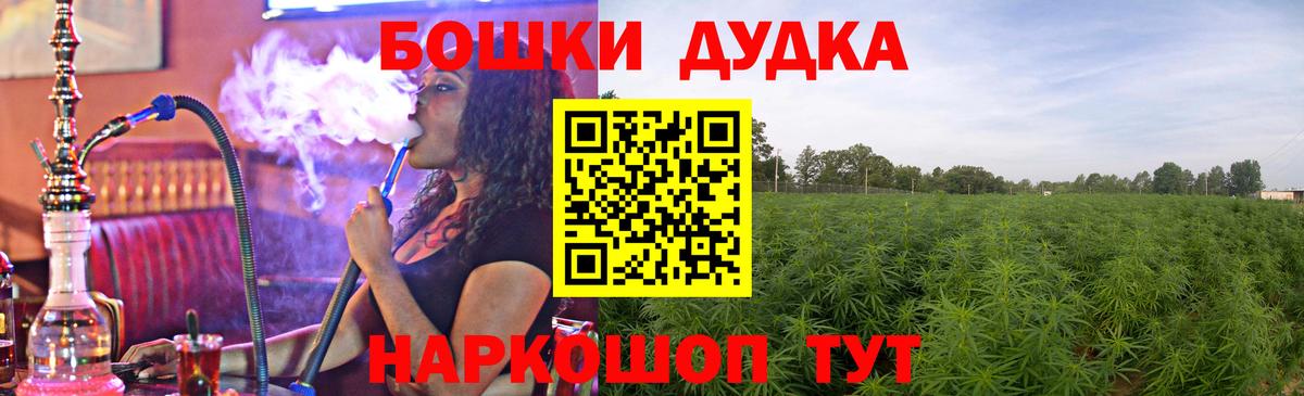 Бошки Шишки сатива Новоалтайск